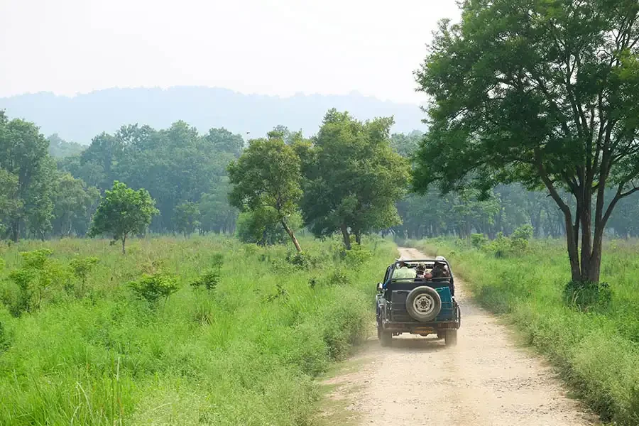 Jim Corbett National Park - Safari